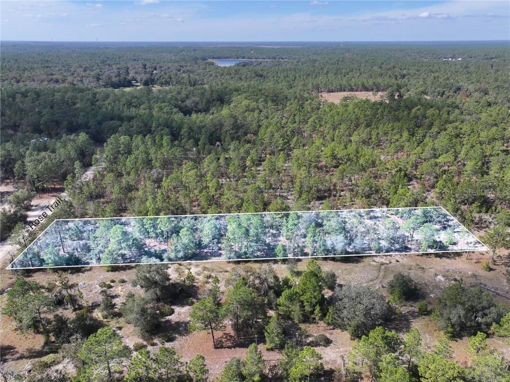 Rose Trail Interlachen FL 32148 A4671773 image4