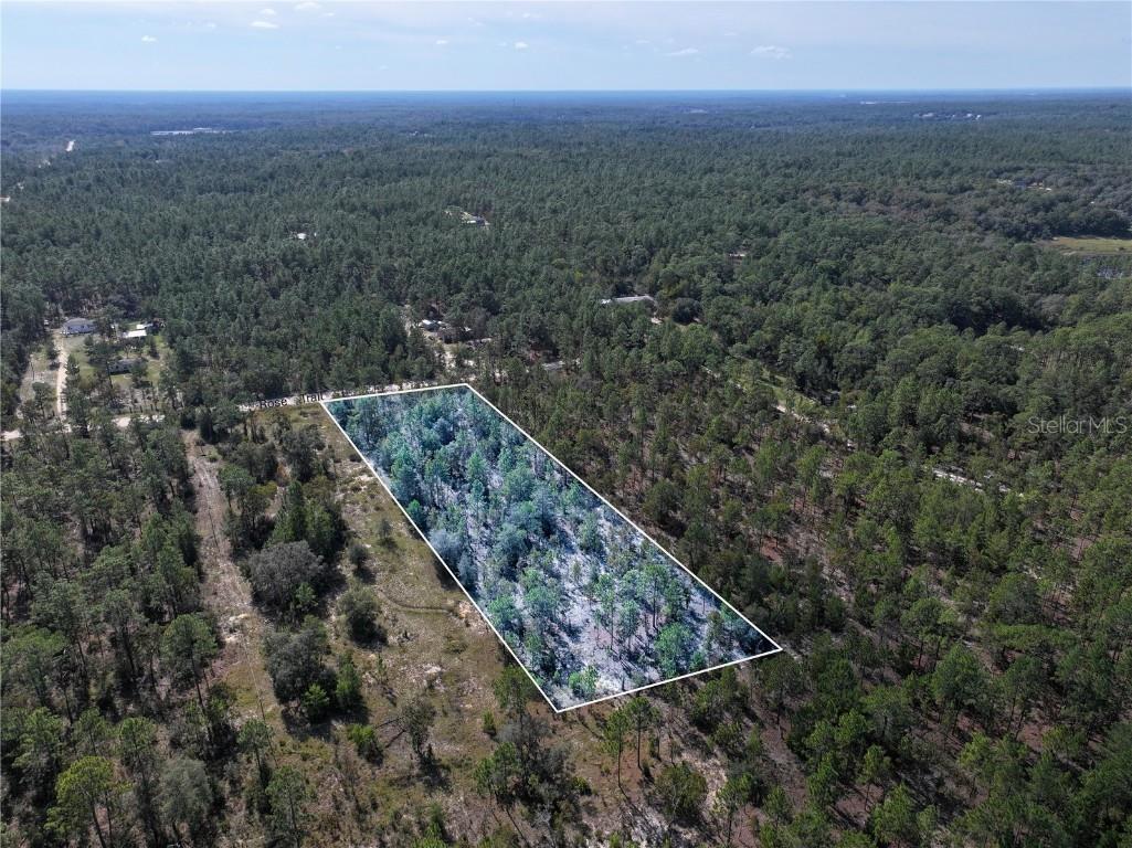 Rose Trail Interlachen FL 32148 A4671773 image5