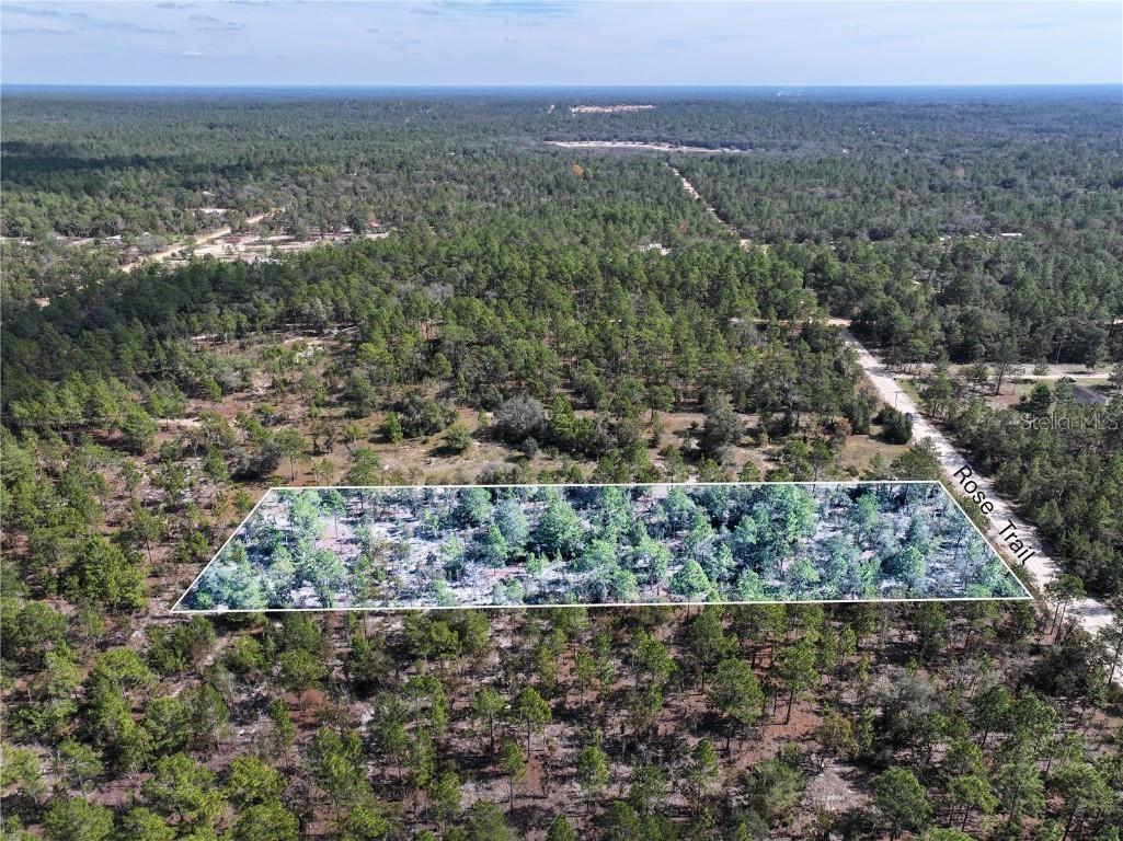 Rose Trail Interlachen FL 32148 A4671773 image6