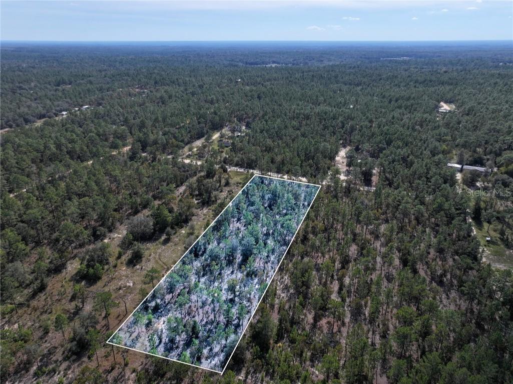 Rose Trail Interlachen FL 32148 A4671773 image7