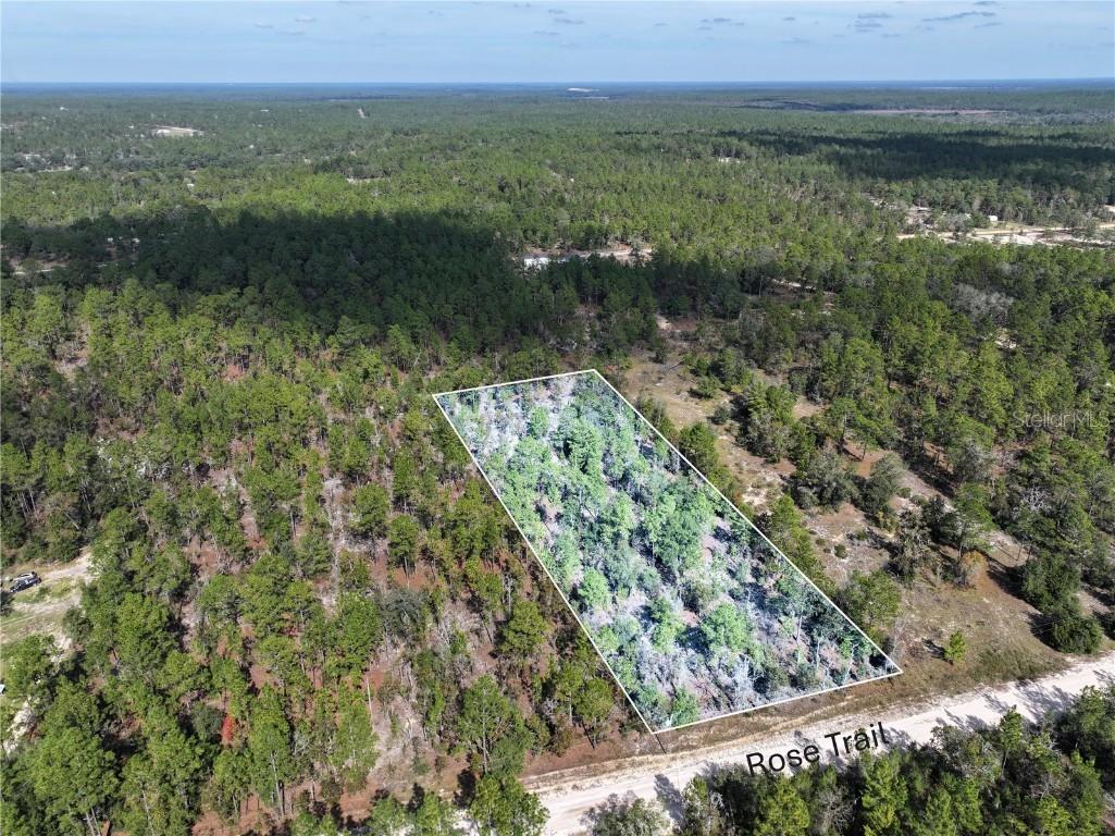 Rose Trail Interlachen FL 32148 A4671773 image8