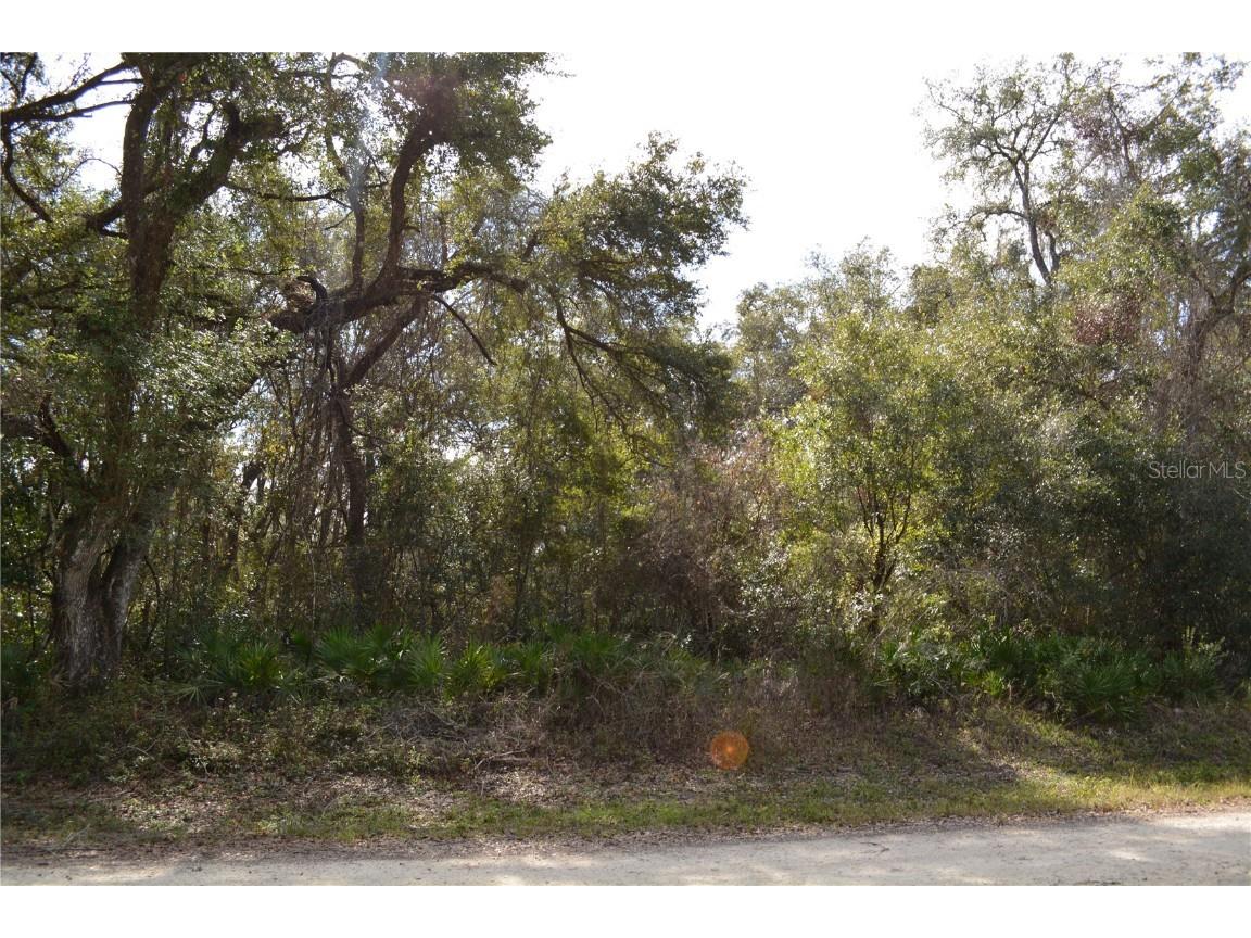 Rosehill Drive Webster FL 33597 G5090712 image1