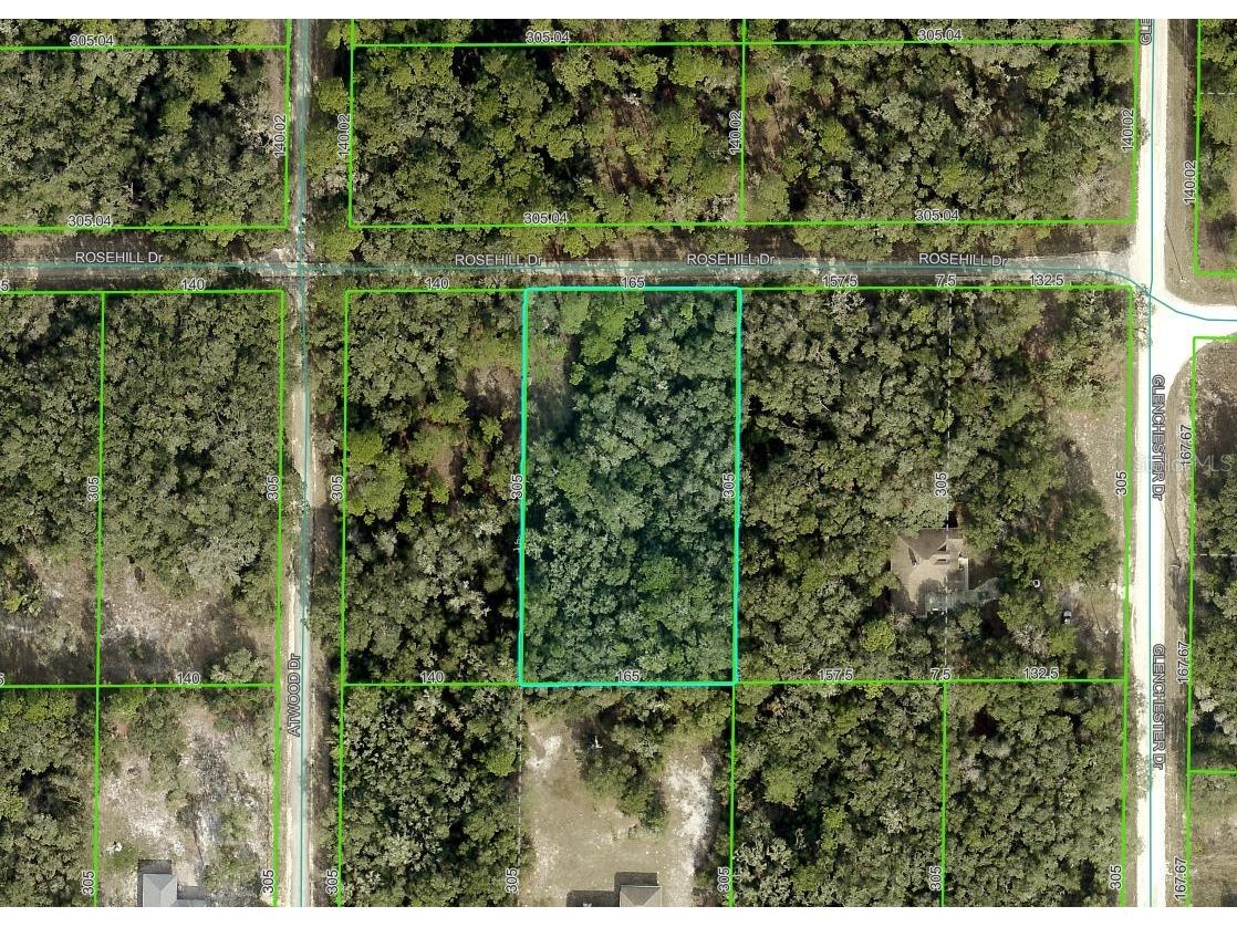 Rosehill Drive Webster FL 33597 TB8467010 image18