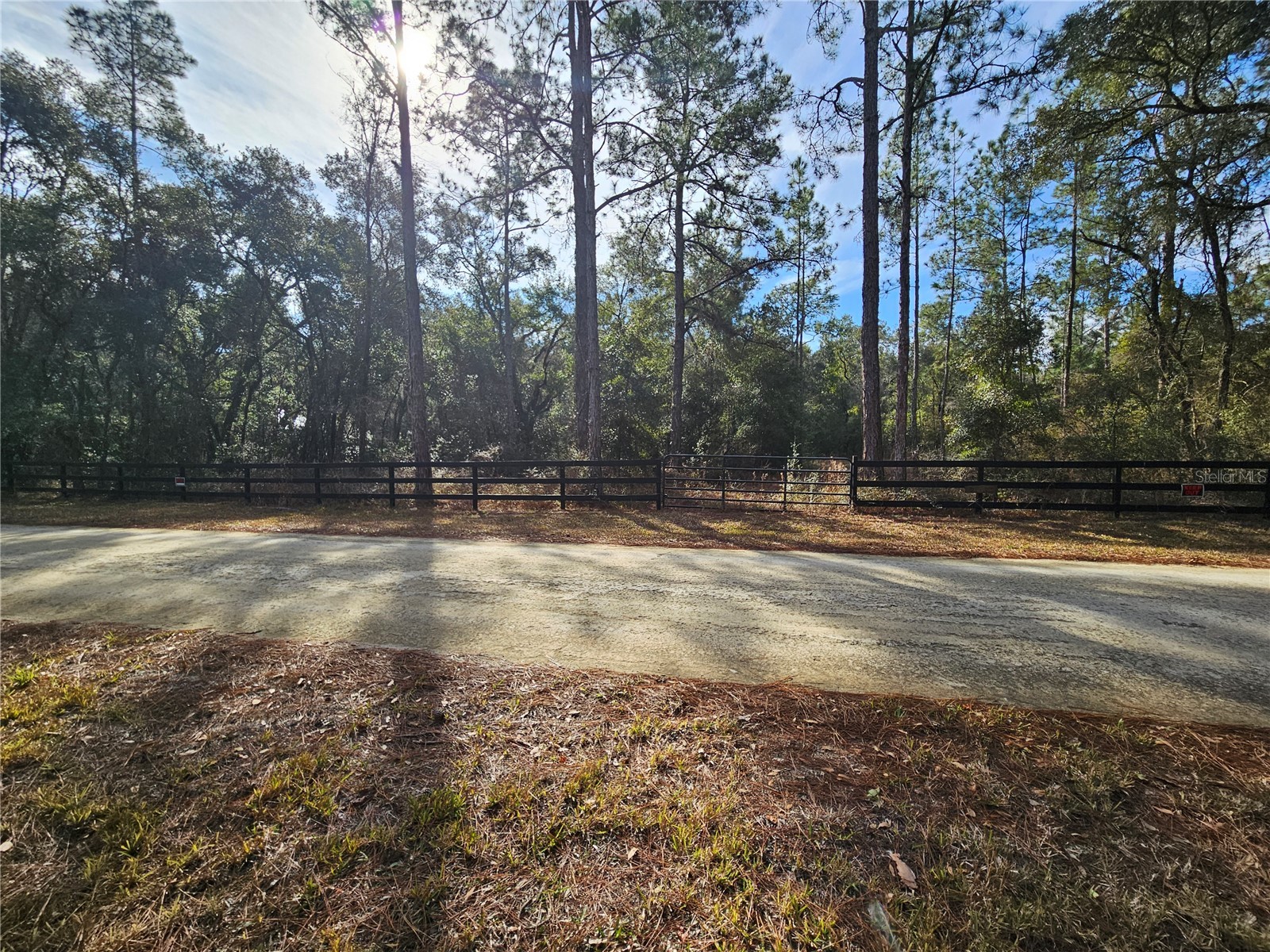 Rosehill Drive Webster FL 33597 TB8467010 image5