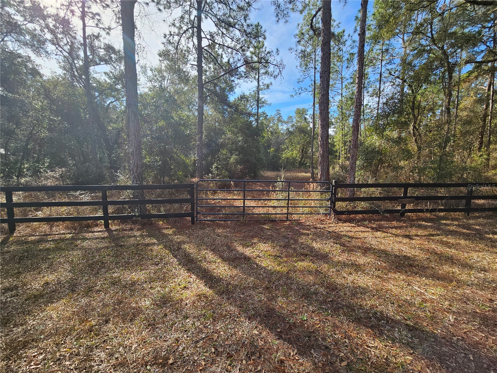 Rosehill Drive Webster FL 33597 TB8467010 image6