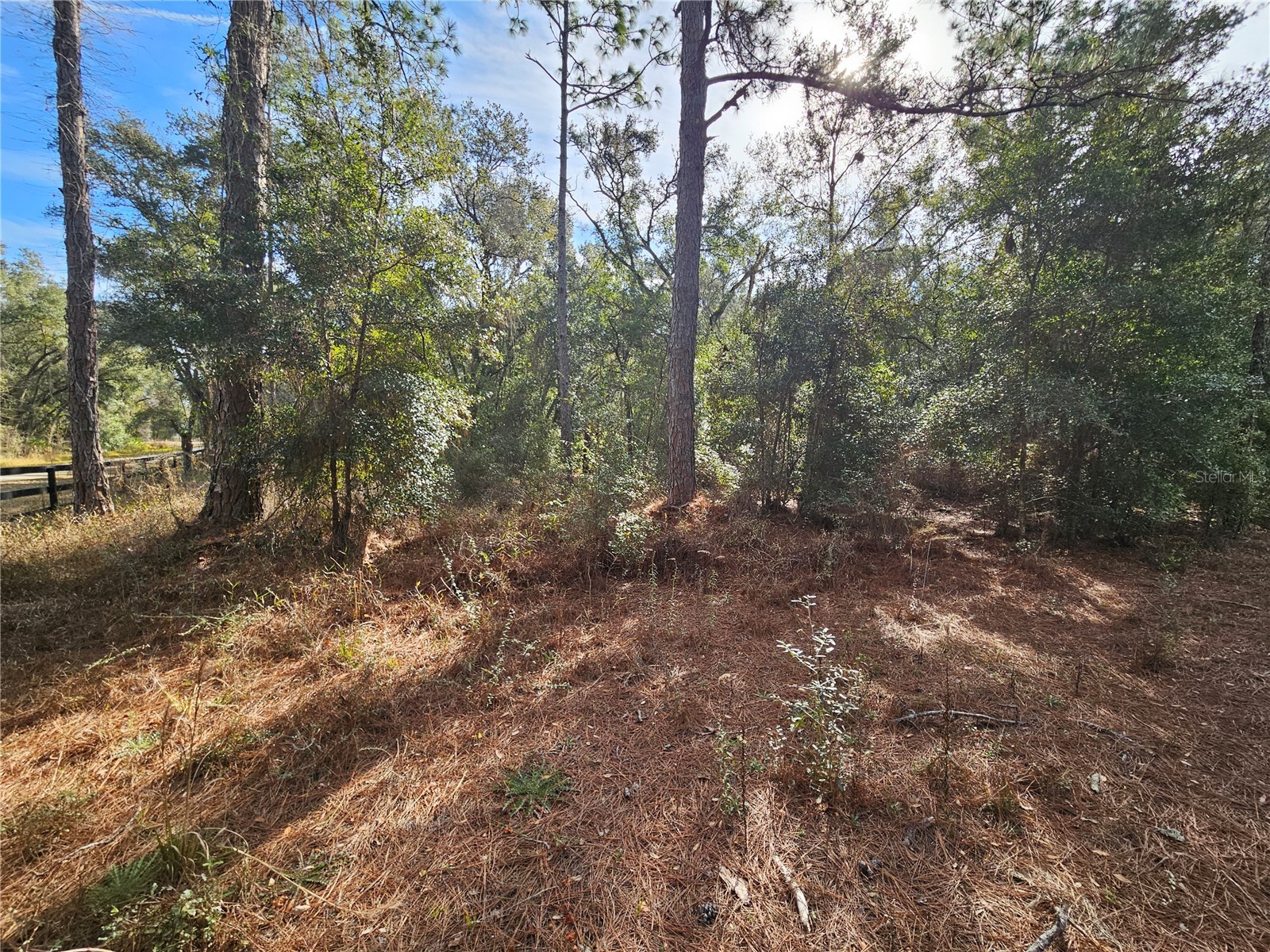 Rosehill Drive Webster FL 33597 TB8467010 image8