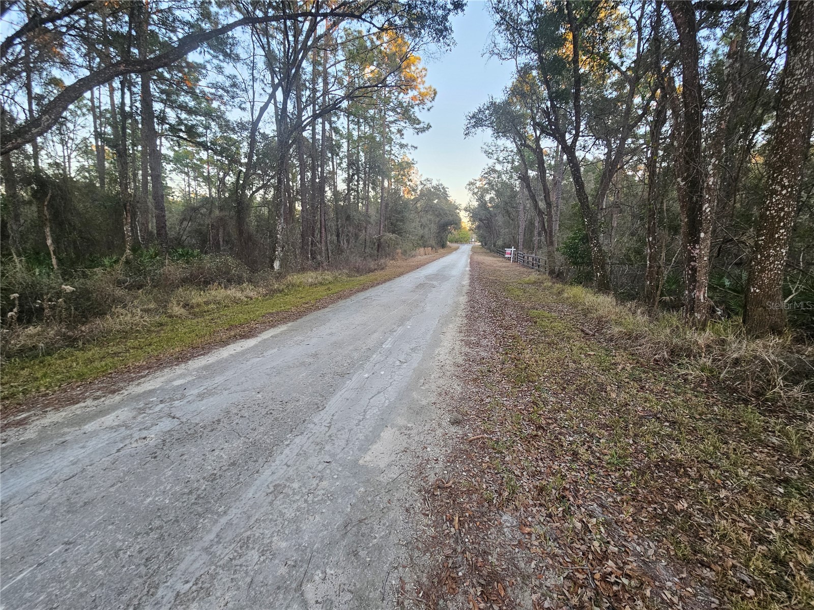 Rosehill Drive Webster FL 33597 TB8474429 image10