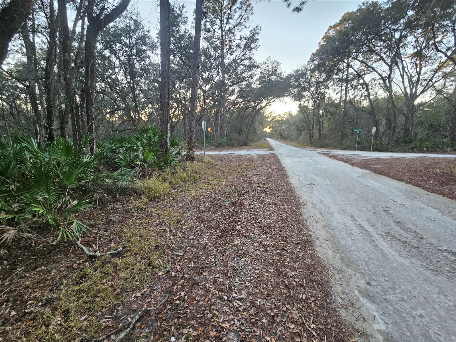 Rosehill Drive Webster FL 33597 TB8474429 image11