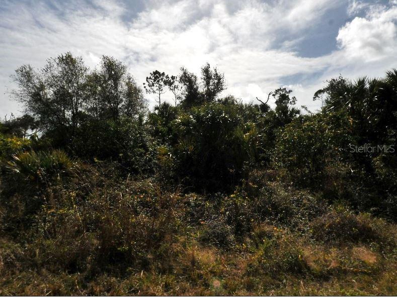 Rosequeen Circle North Port FL 34288 O6189746 image2