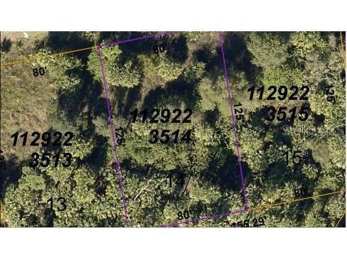 Rosequeen Circle North Port FL 34288 O6189746 image5