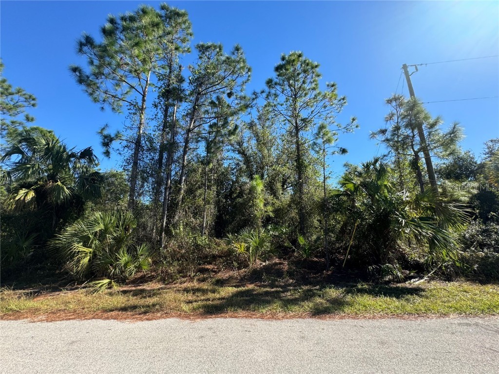 Rosette Road North Port FL 34288 A4630331 image1