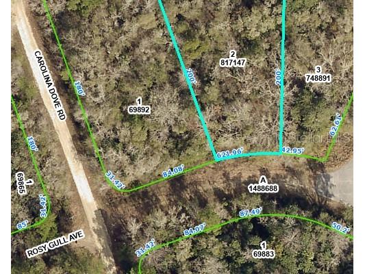Rosy Gull Avenue Weeki Wachee FL 34614 U8157804 image1