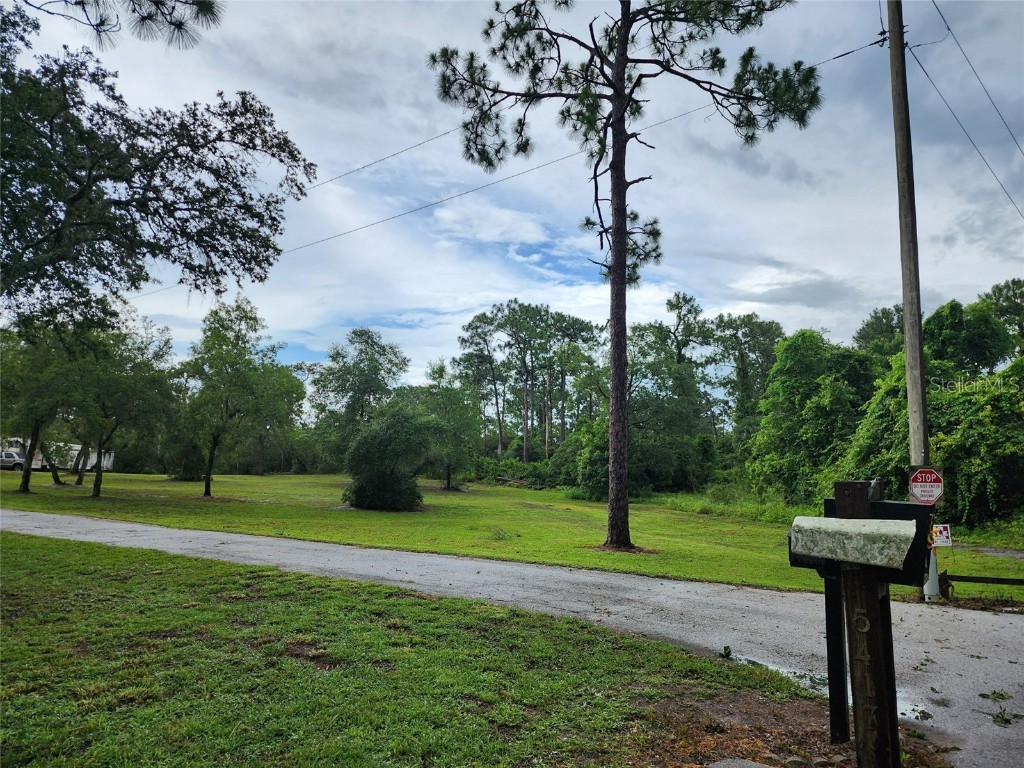 Rouse Road Orlando FL 32817 - LITTLE ECONLOCKHATCHEE RIVER U8204964 image1