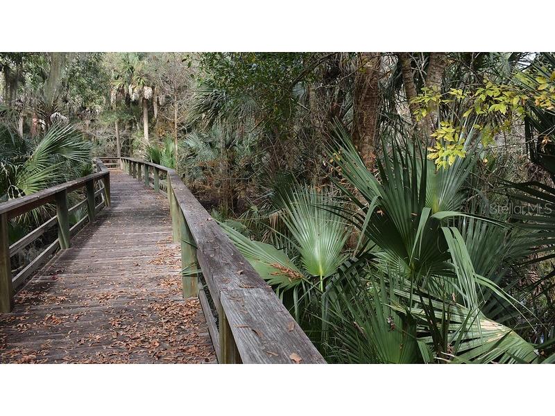 Route 305 Bunnell FL 32110 - HAW CREEK FC311902 image6