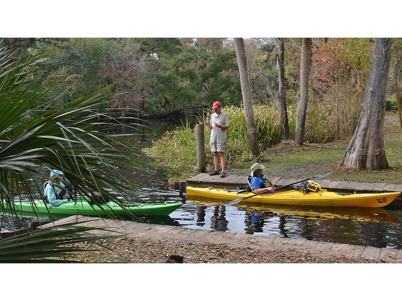 Route 305 Bunnell FL 32110 - HAW CREEK FC311902 image8