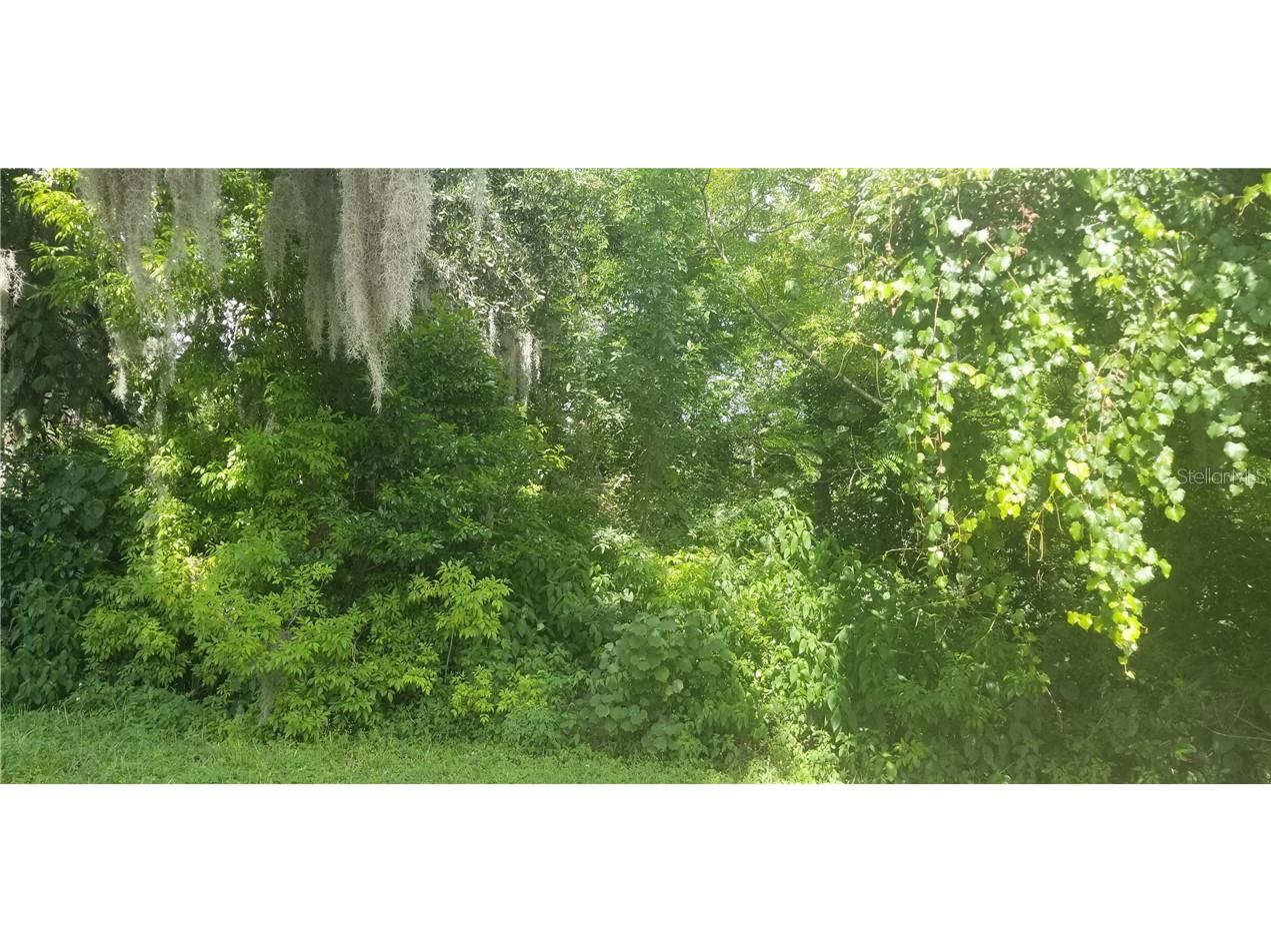 Rowan Road New Port Richey FL 34653 U8055157 image1