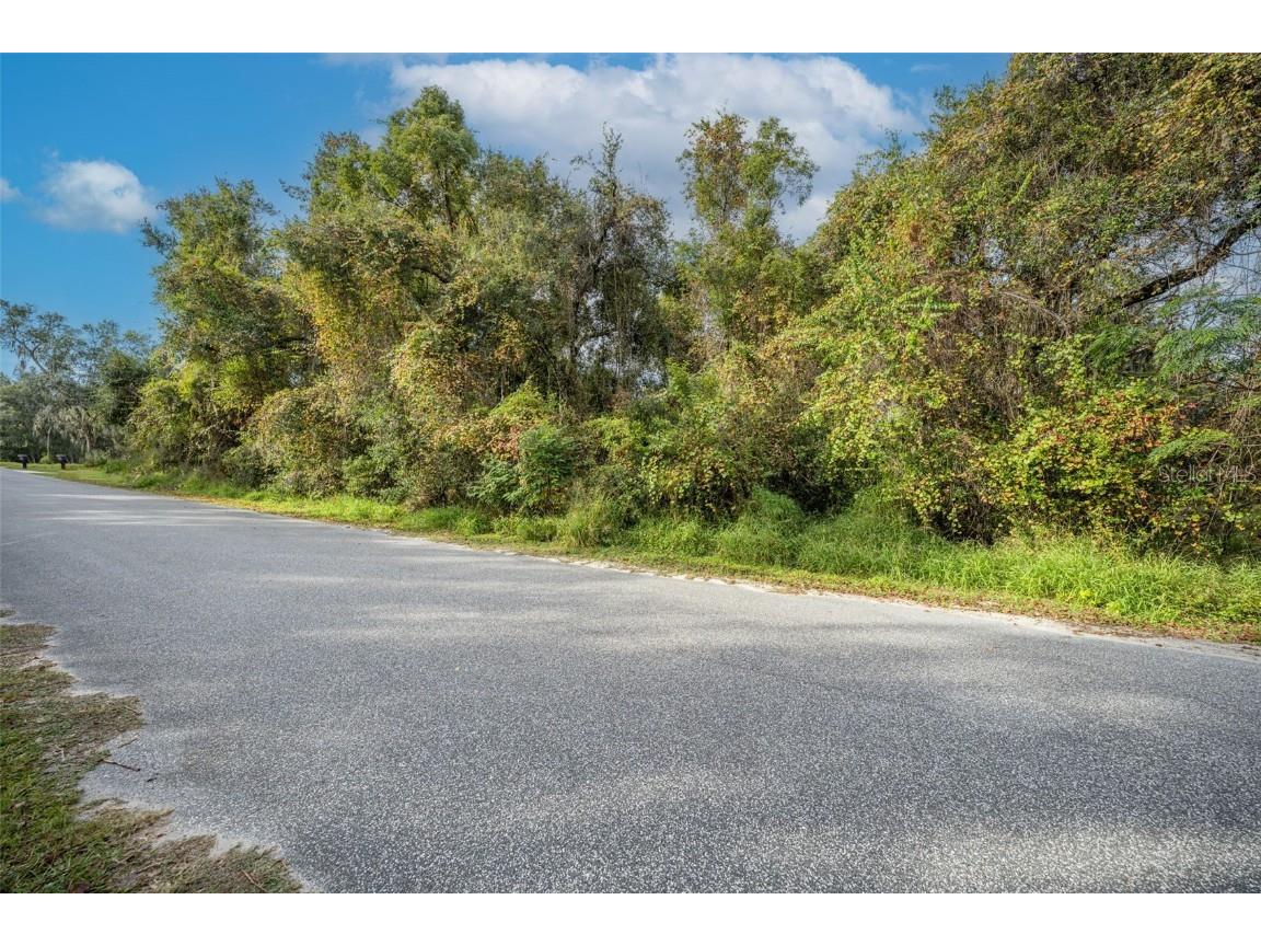 Royal Oak Road Fruitland Park FL 34731 O6364939 image2