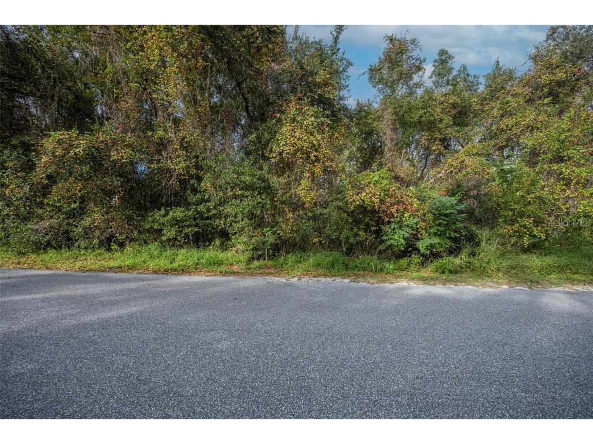 Royal Oak Road Fruitland Park FL 34731 O6364939 image3