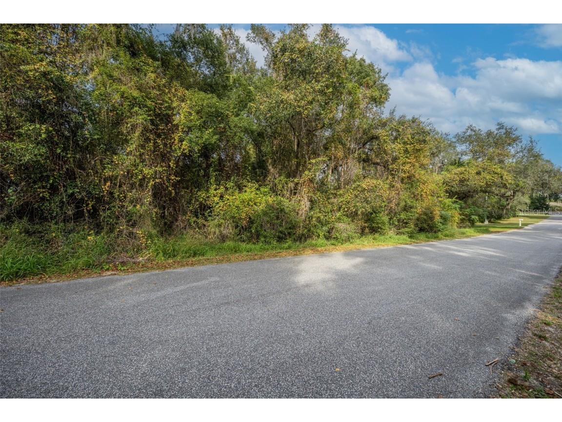 Royal Oak Road Fruitland Park FL 34731 O6364939 image4