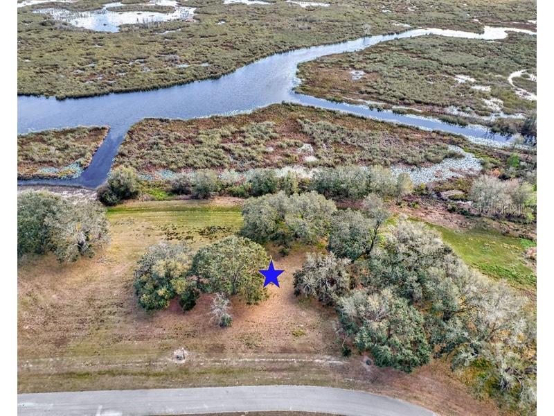 Royal Palm Dr Groveland FL 34736 G5092970 image10