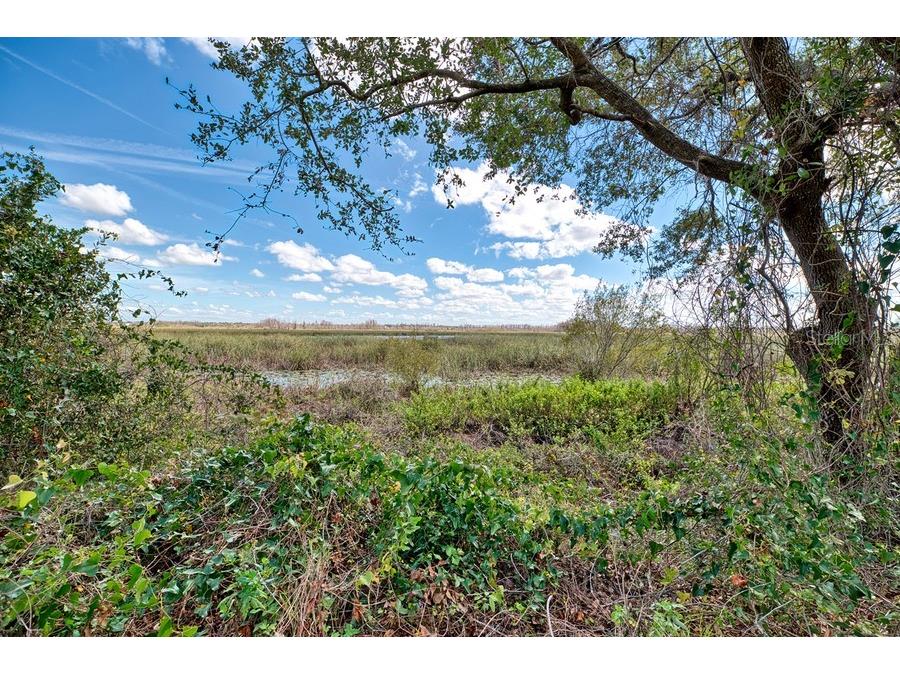 Royal Palm Dr Groveland FL 34736 G5092970 image11