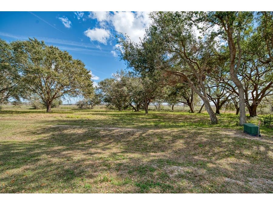 Royal Palm Dr Groveland FL 34736 G5092970 image12