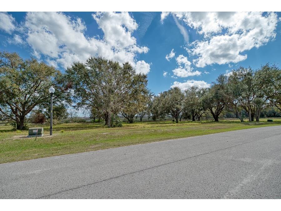 Royal Palm Dr Groveland FL 34736 G5092970 image13