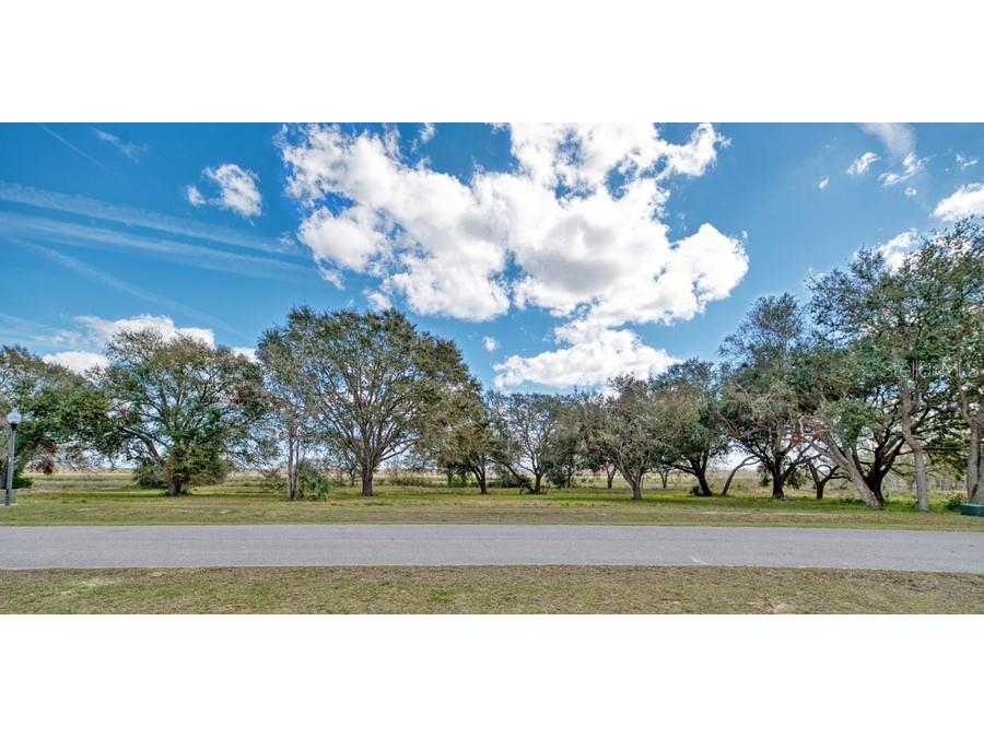 Royal Palm Dr Groveland FL 34736 G5092970 image14