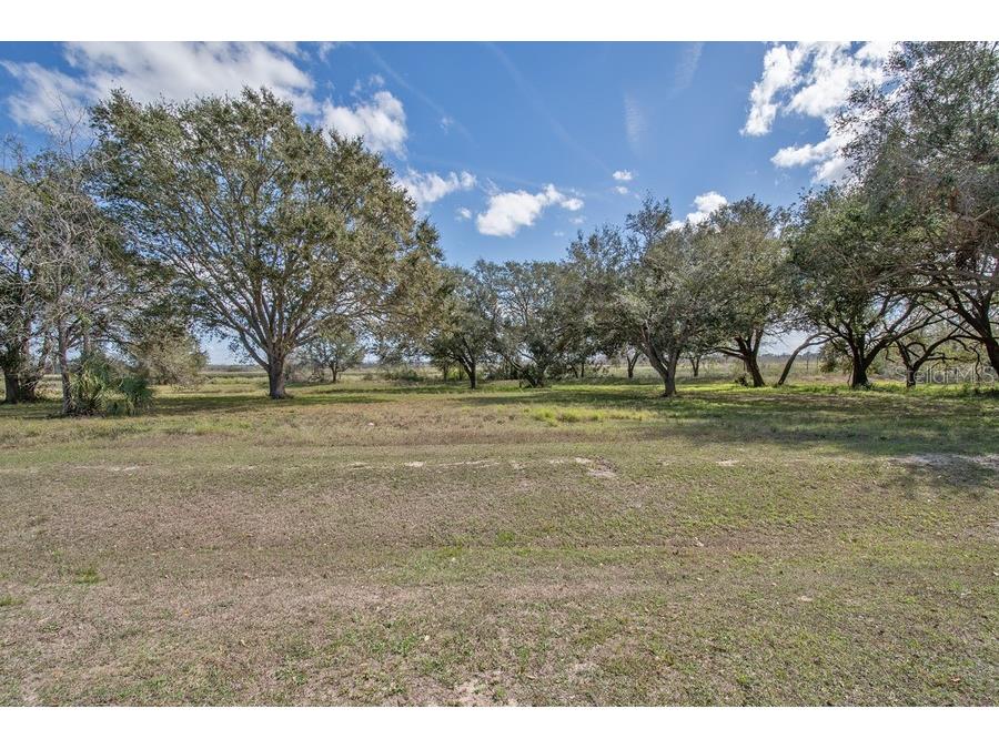 Royal Palm Dr Groveland FL 34736 G5092970 image3