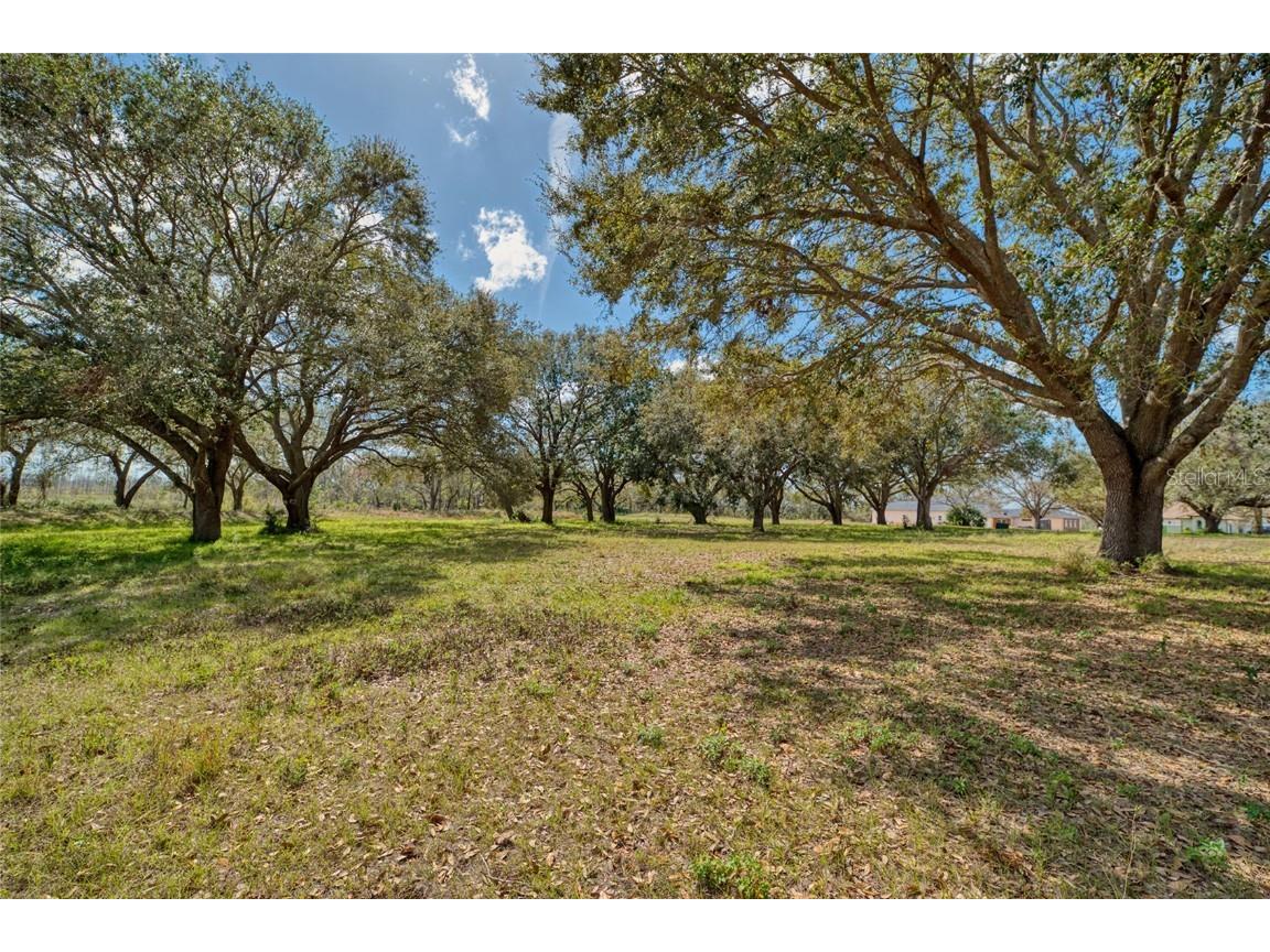 Royal Palm Dr Groveland FL 34736 G5092970 image4