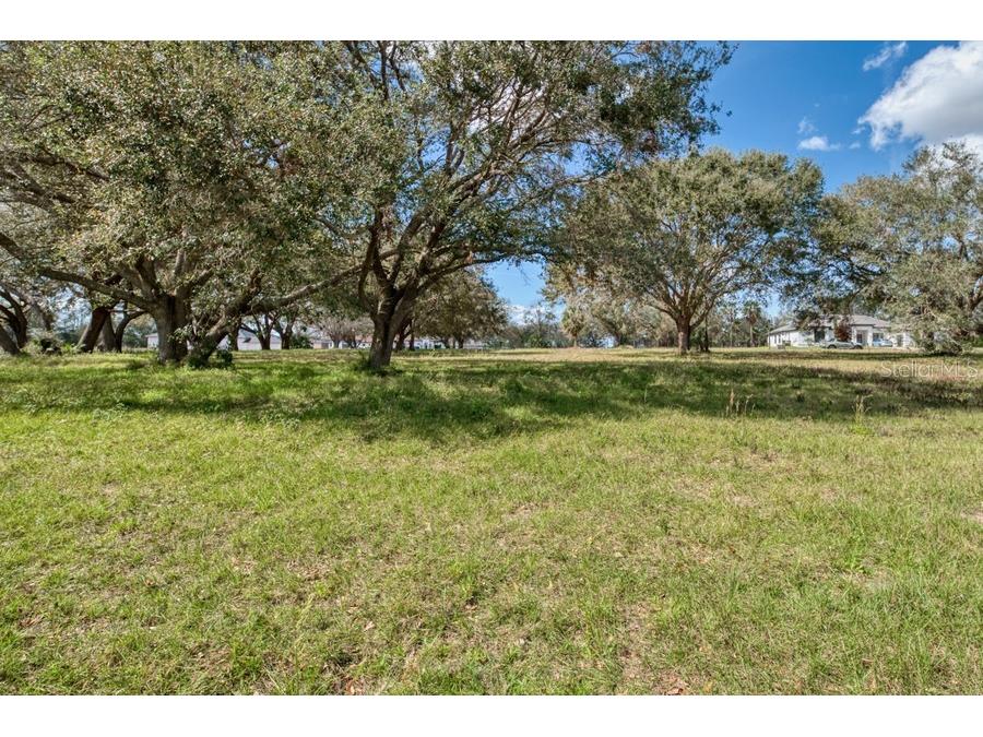 Royal Palm Dr Groveland FL 34736 G5092970 image5