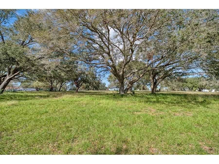 Royal Palm Dr Groveland FL 34736 G5092970 image6