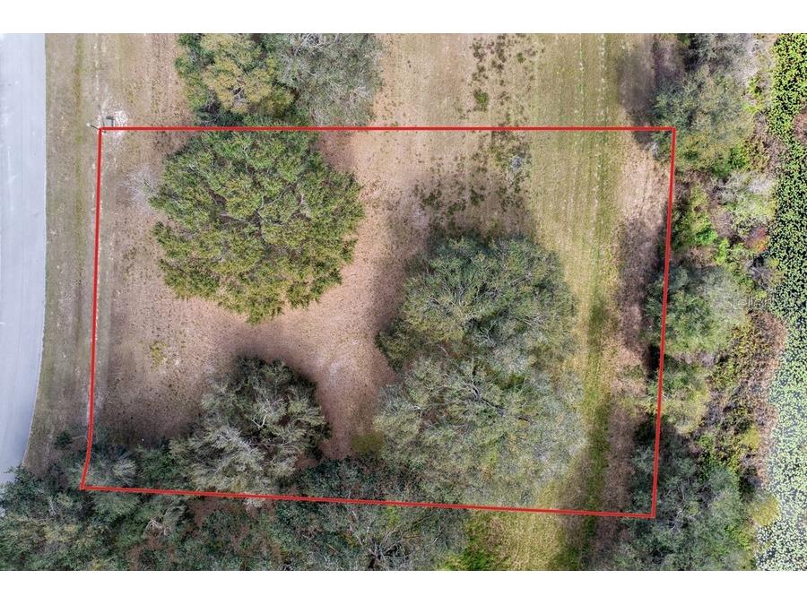 Royal Palm Dr Groveland FL 34736 G5092970 image7