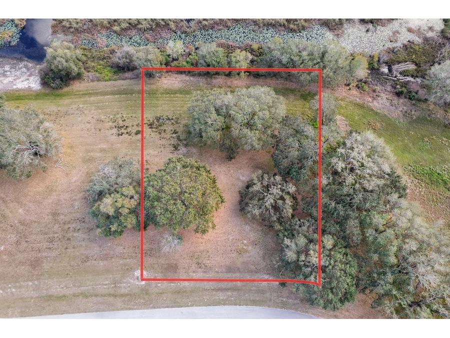 Royal Palm Dr Groveland FL 34736 G5092970 image8