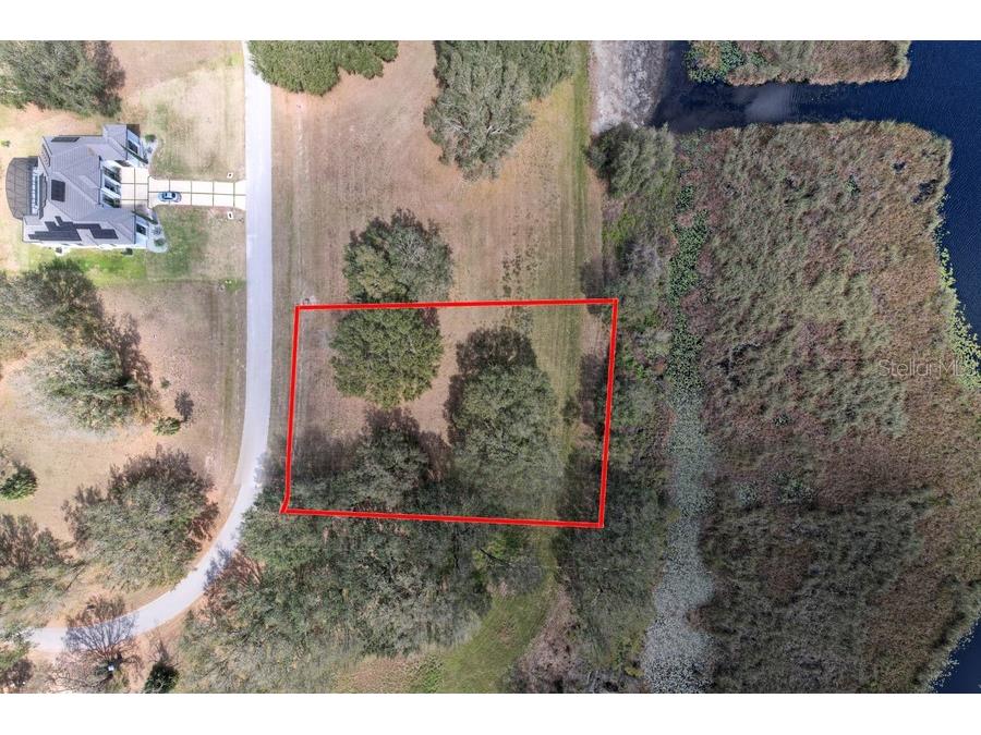 Royal Palm Dr Groveland FL 34736 G5092970 image9