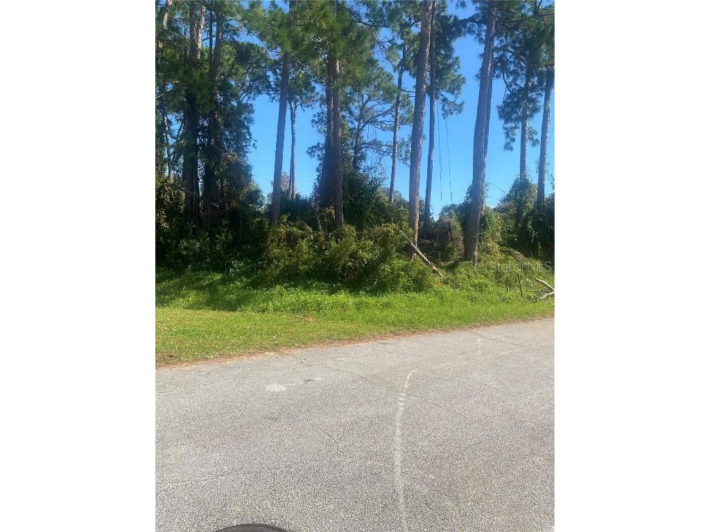 Royal Palm Drive Edgewater FL 32141 NS1082884 image1