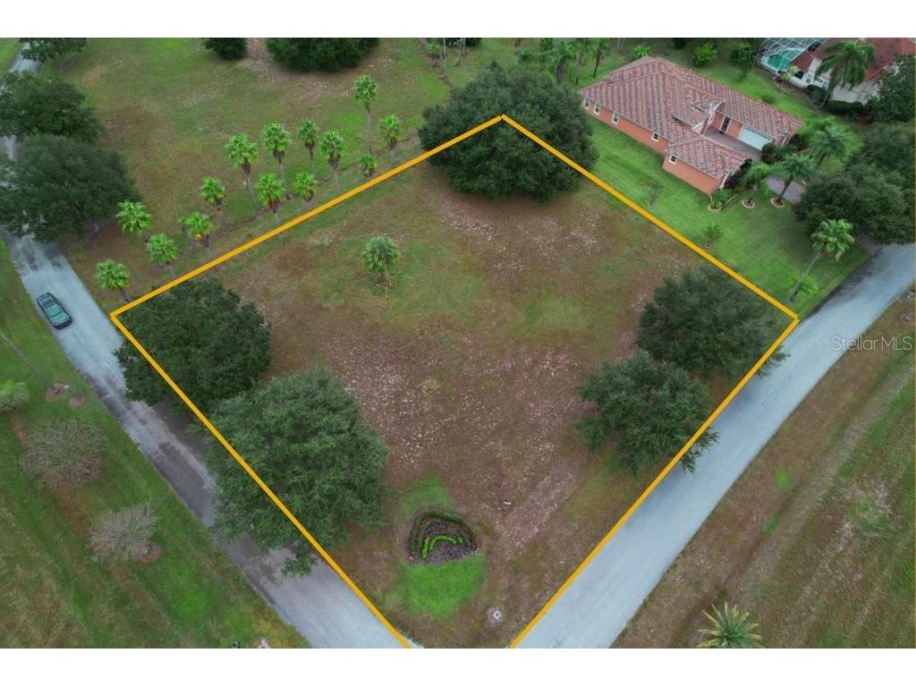 Royal Palm Drive Groveland FL 34736 O6157657 image1