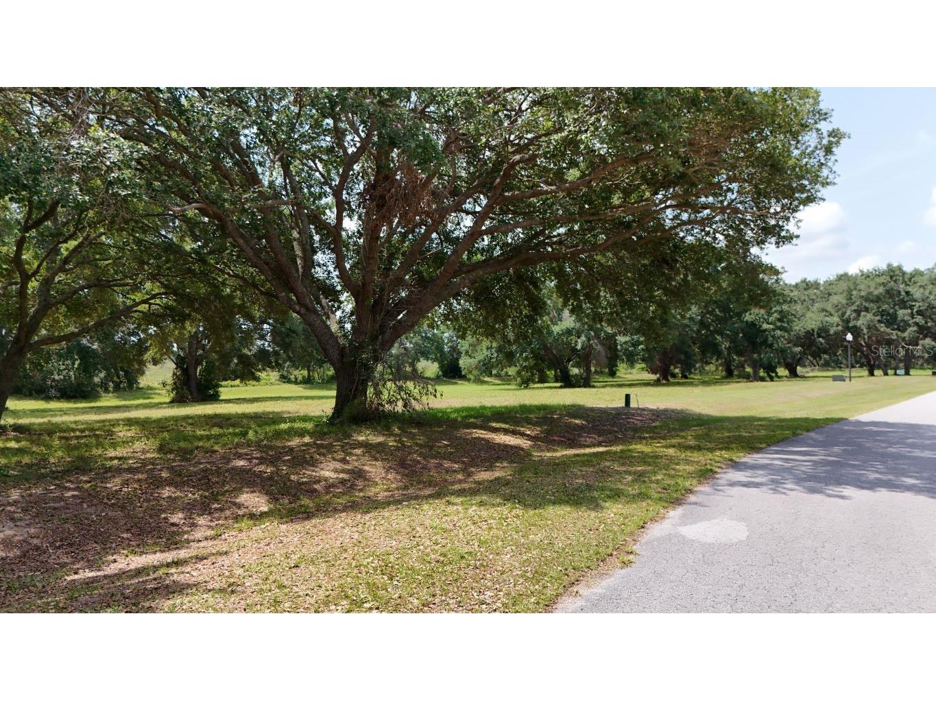 Royal Palm Drive #LOT 34 Groveland FL 34736 S5126632 image15