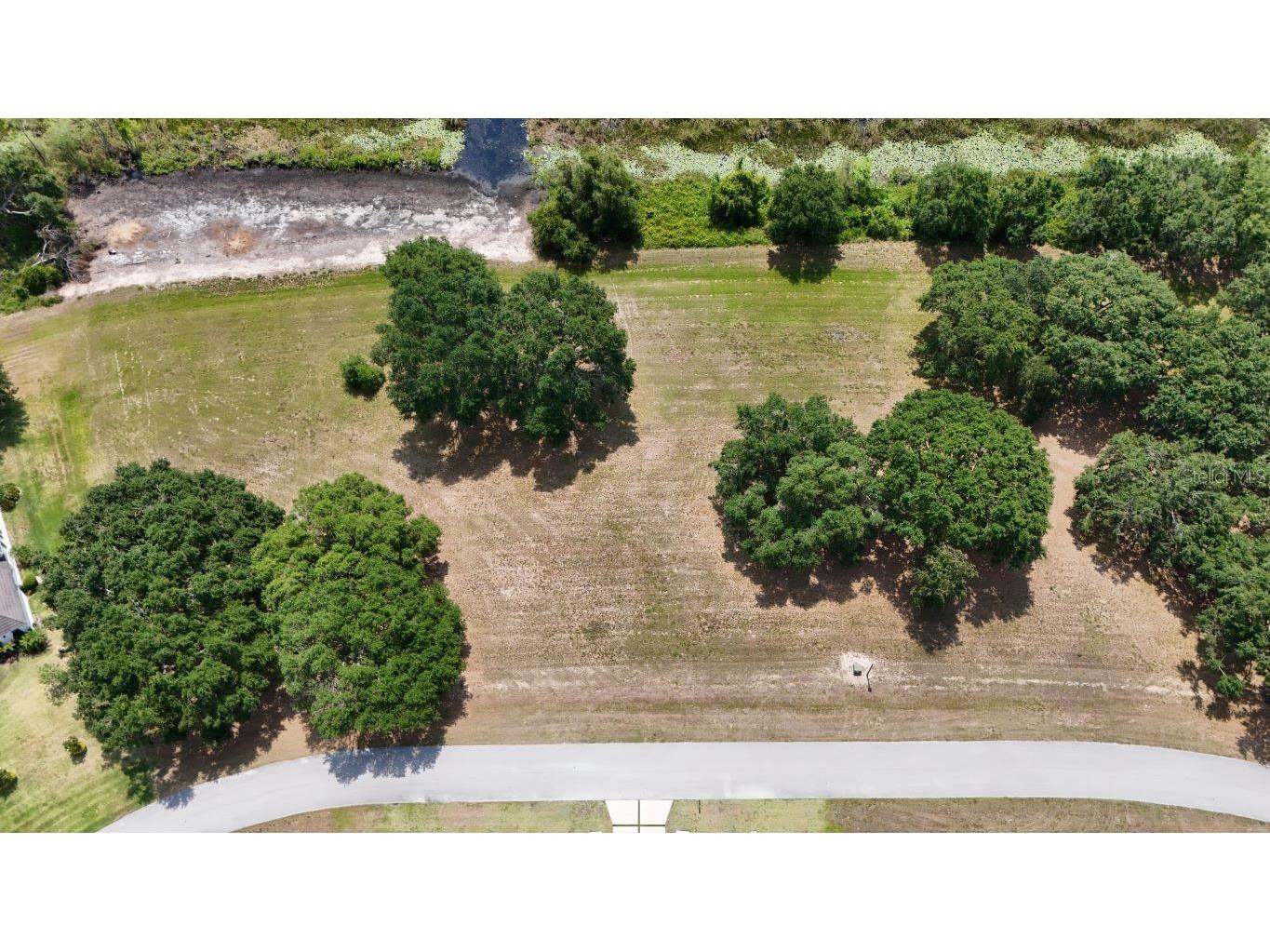 Royal Palm Drive #LOT 34 Groveland FL 34736 S5126632 image7