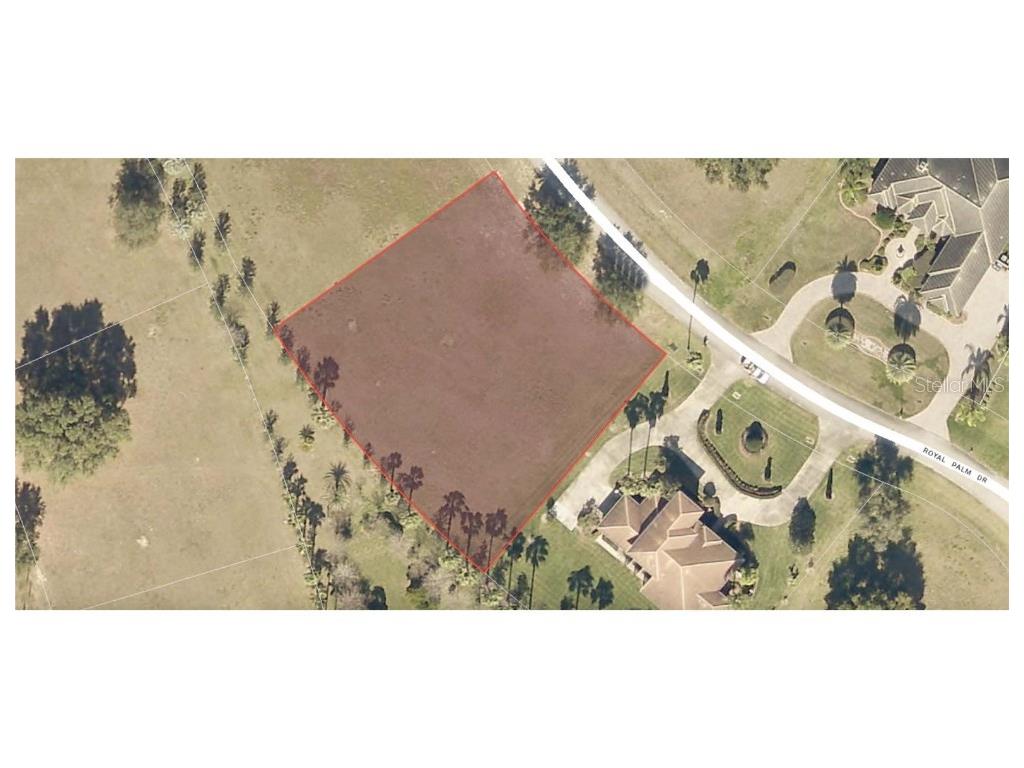 Royal Palm Drive #LOT 65 Groveland FL 34736 T3432310 image1