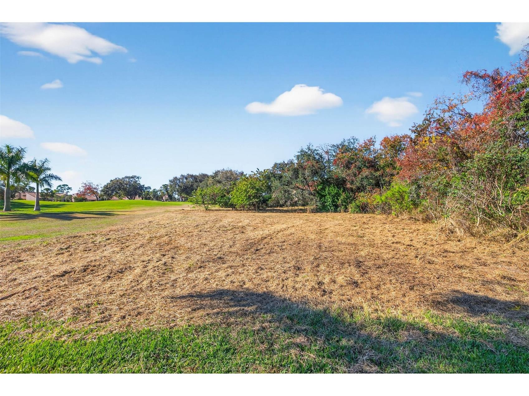 Royal Palm Drive S Gulfport FL 33707 TB8465315 image10
