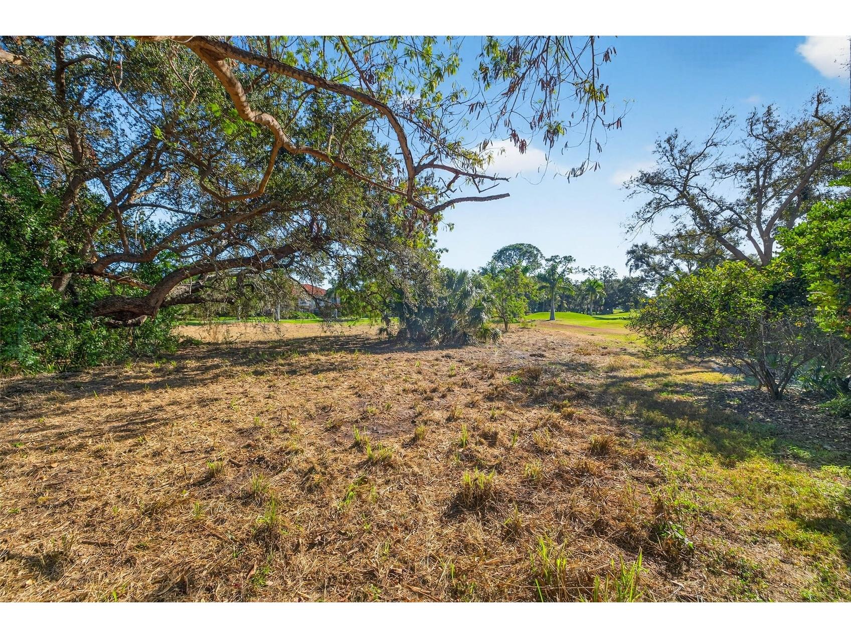 Royal Palm Drive S Gulfport FL 33707 TB8465315 image11