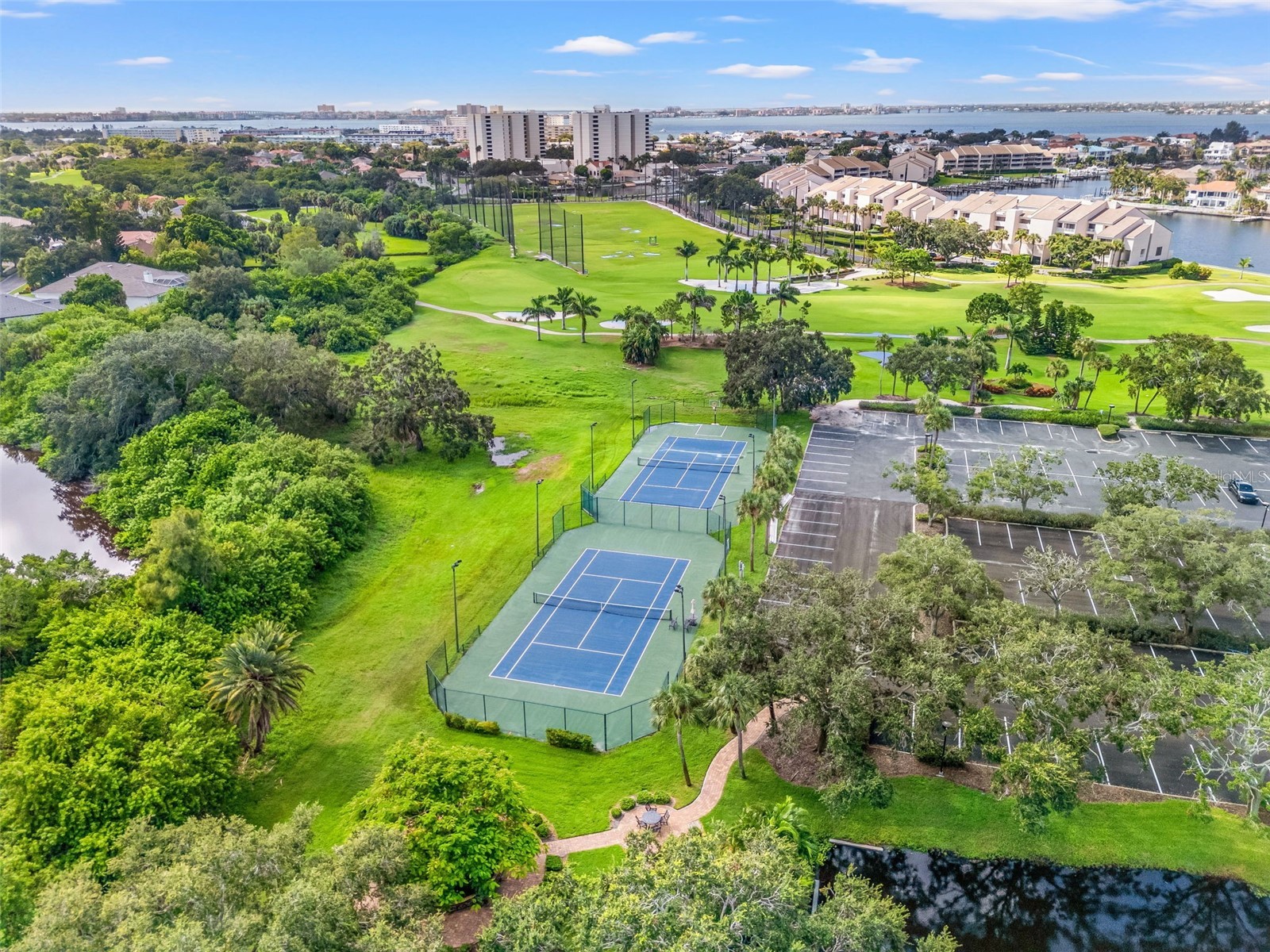 Royal Palm Drive S Gulfport FL 33707 TB8465315 image15