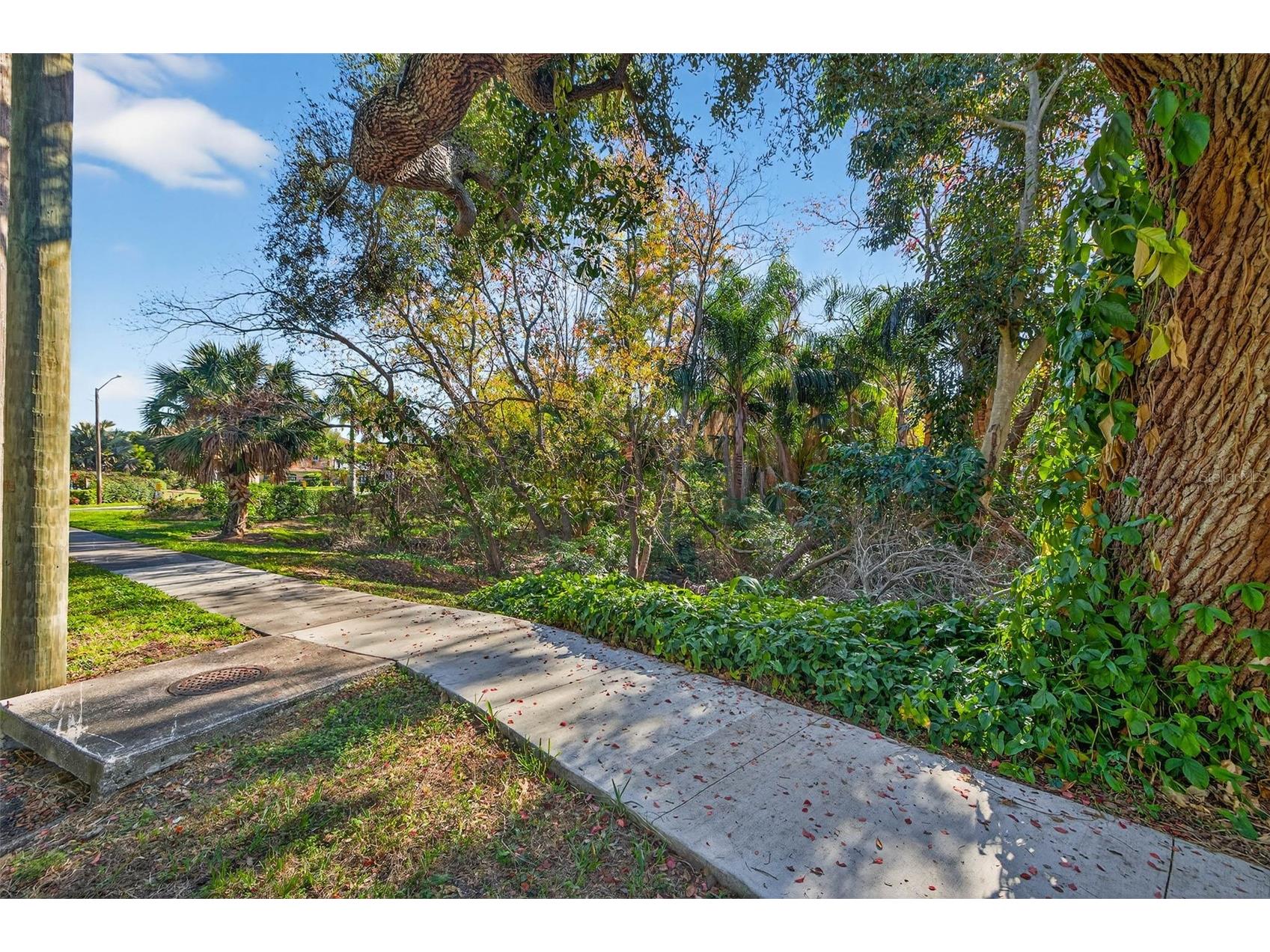 Royal Palm Drive S Gulfport FL 33707 TB8465315 image6