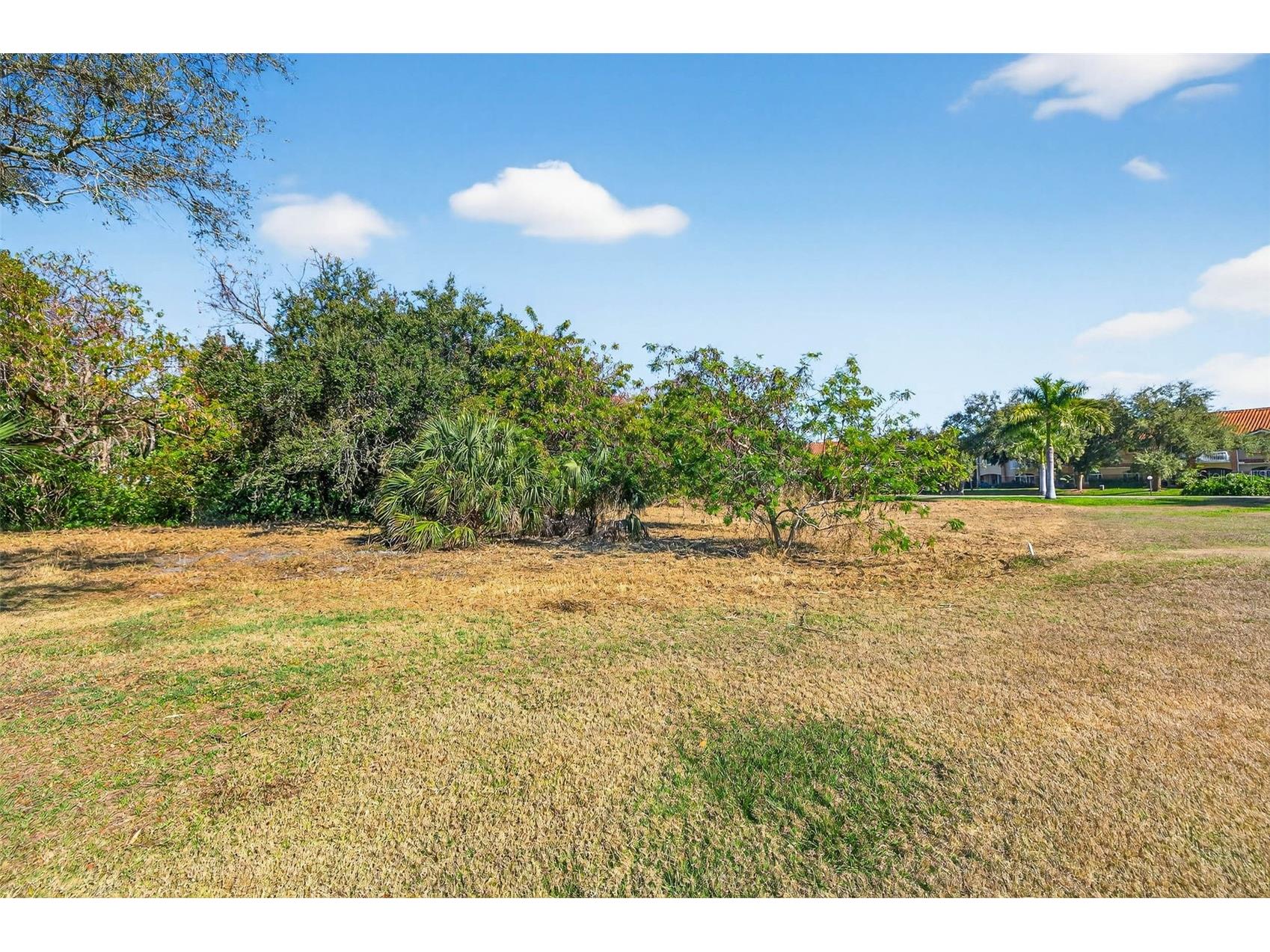 Royal Palm Drive S Gulfport FL 33707 TB8465315 image7
