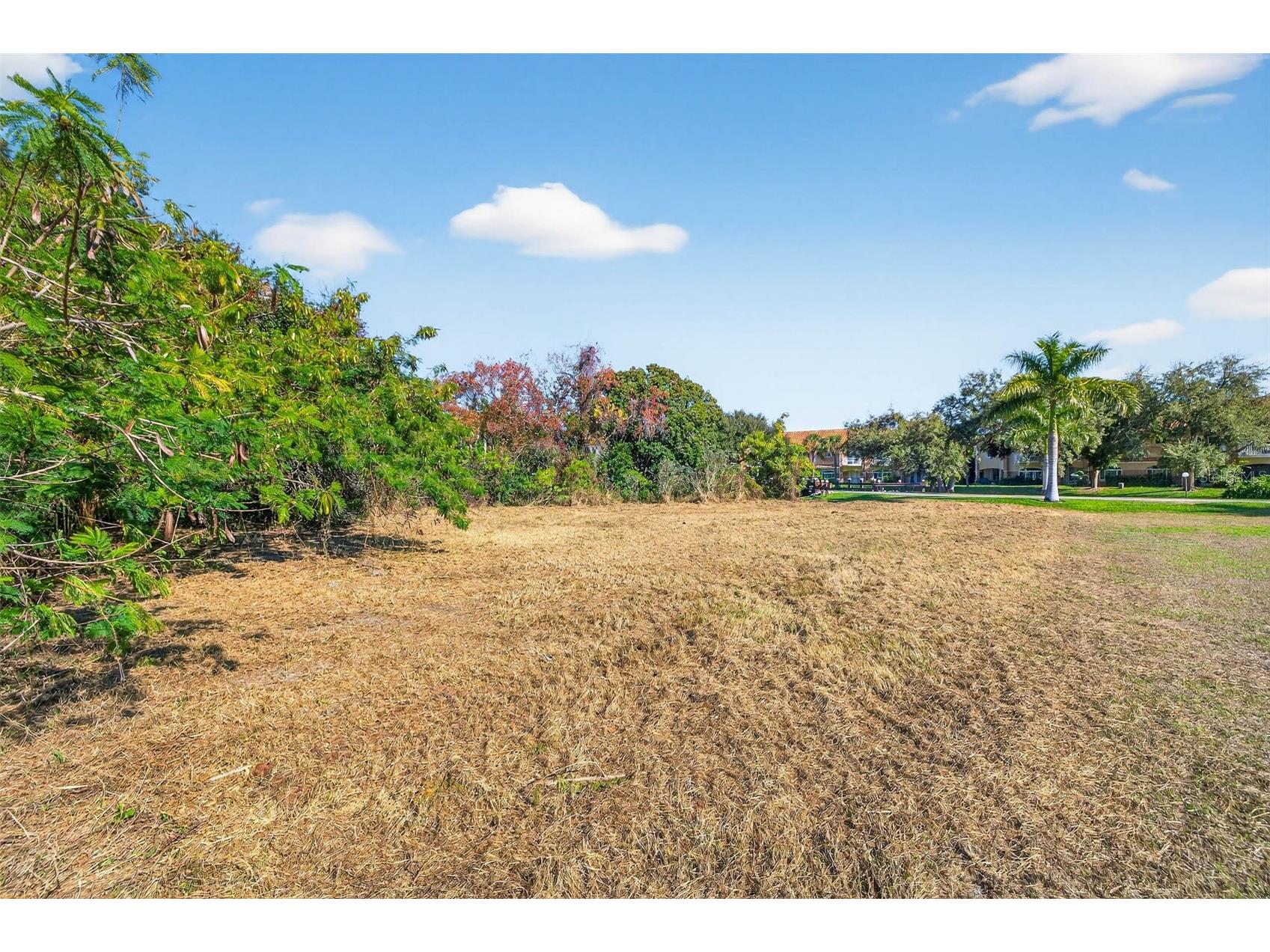 Royal Palm Drive S Gulfport FL 33707 TB8465315 image8