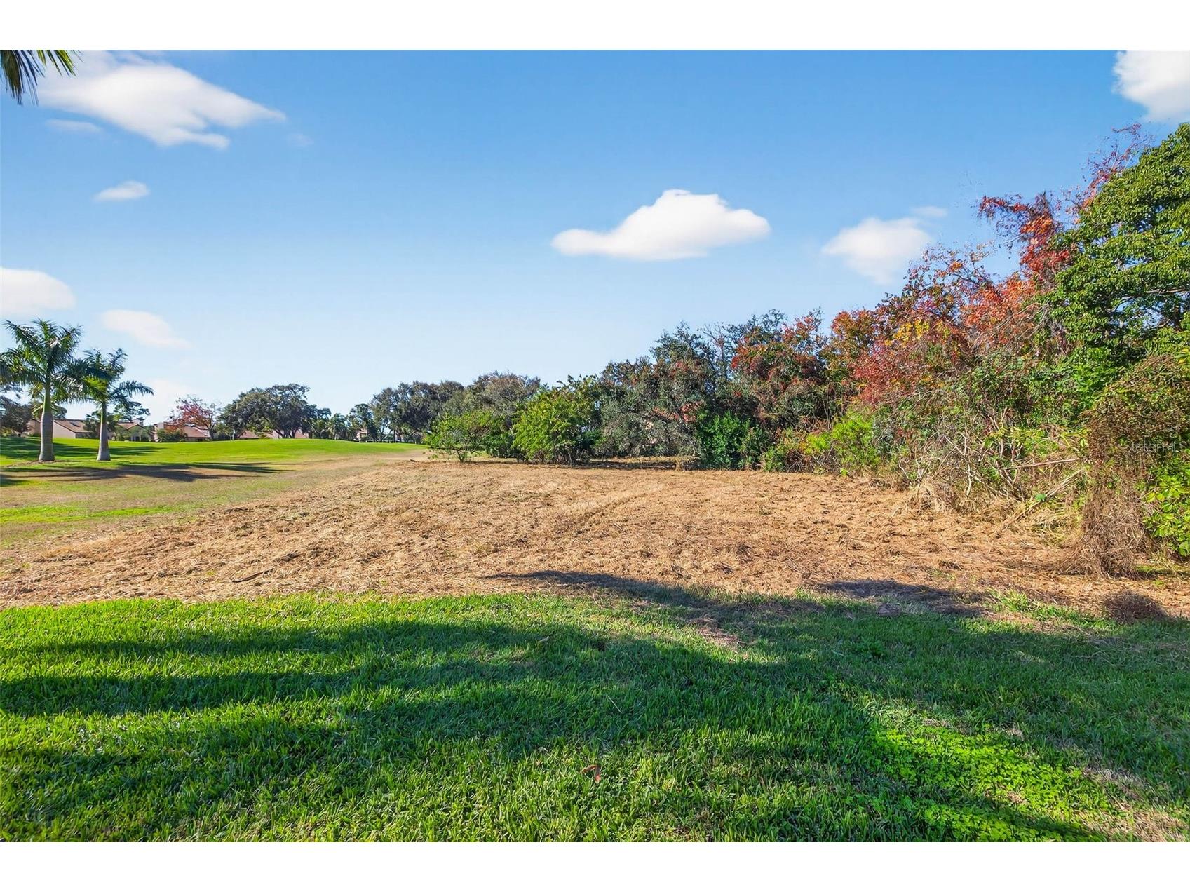 Royal Palm Drive S Gulfport FL 33707 TB8465315 image9