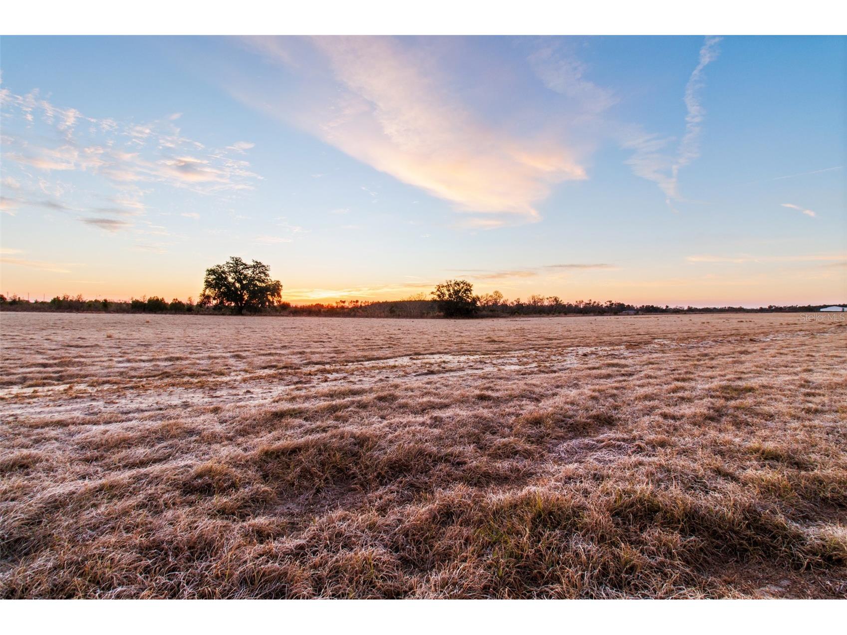 4138 Royal Sky (Lot 10) Court Brooksville FL 34602 TB8473350 image7
