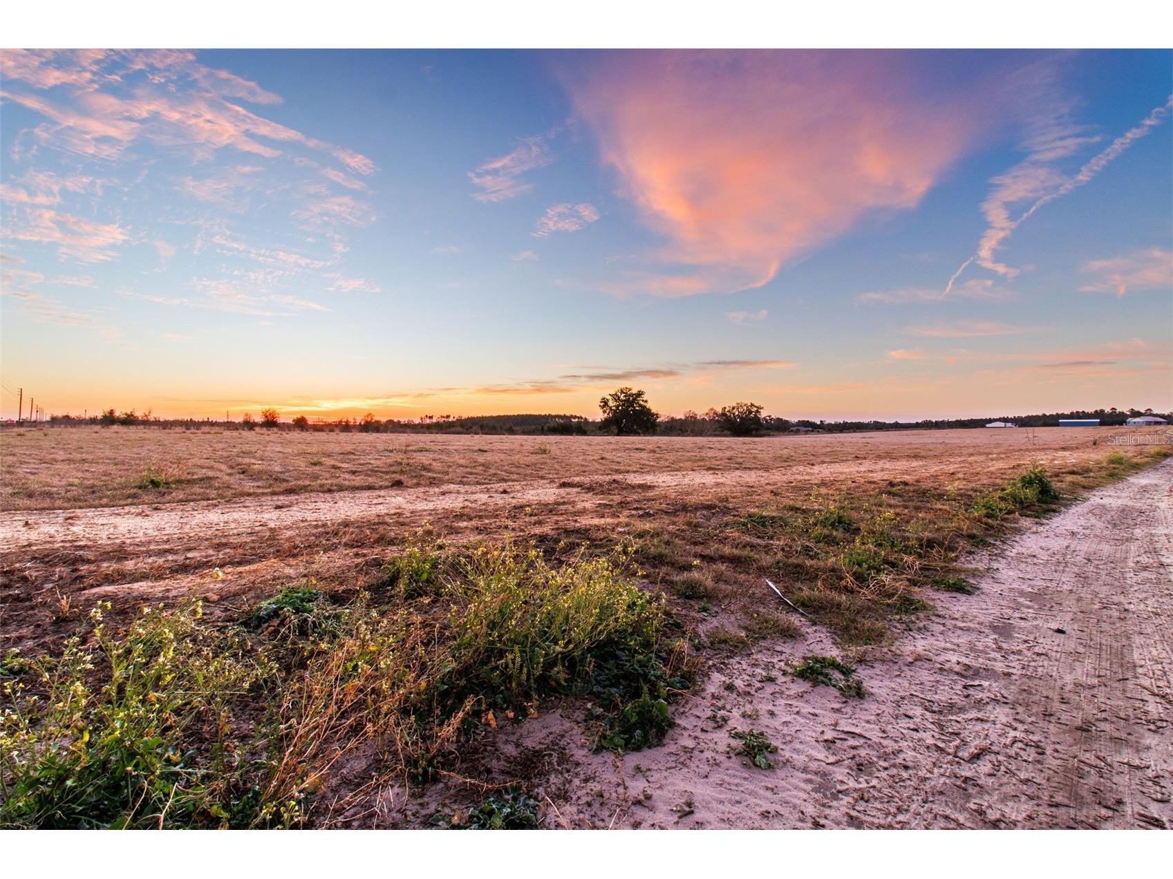 4302 Royal Sky (Lot 4) Court Brooksville FL 34602 TB8477623 image3