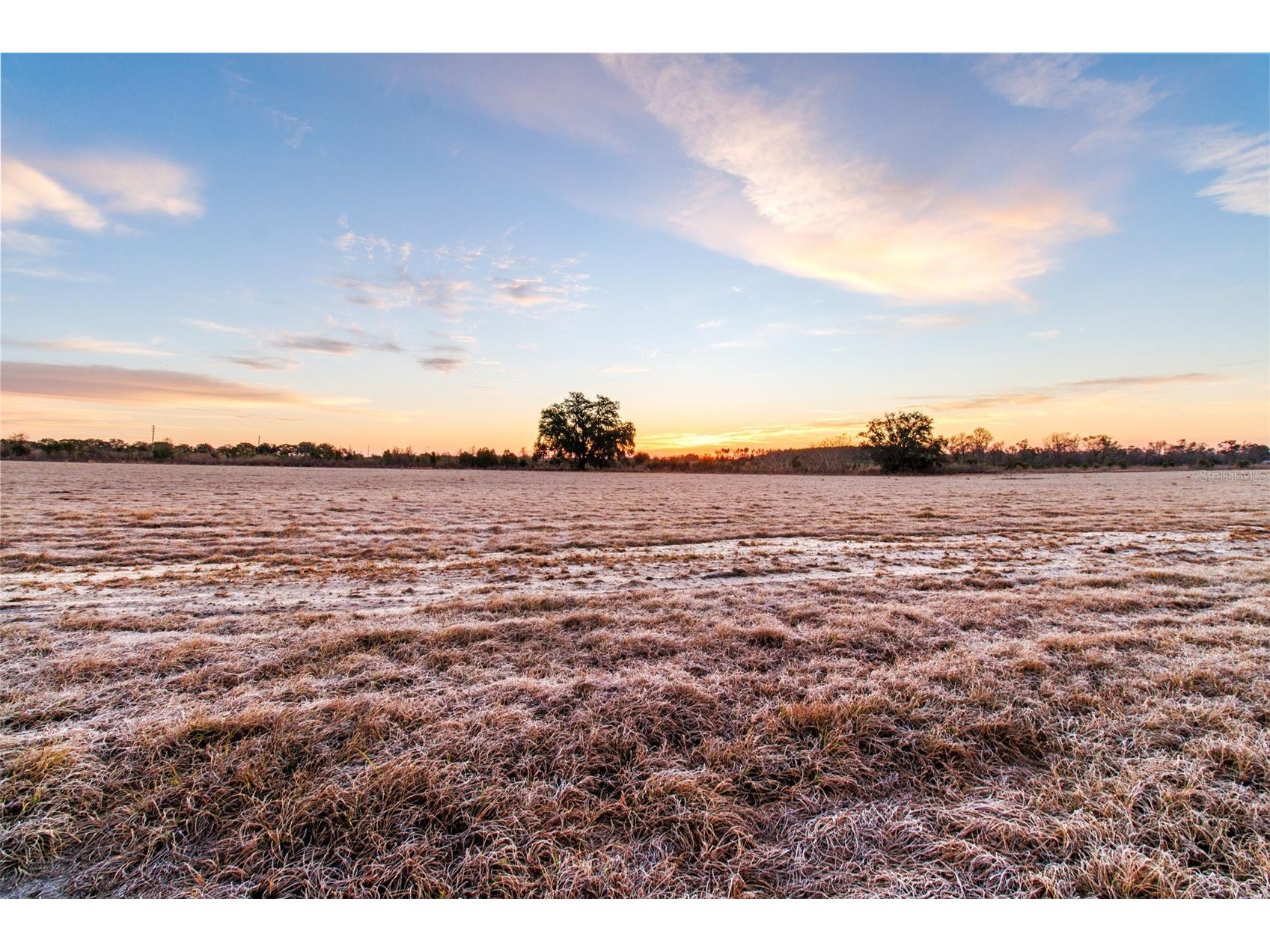 4240 Royal Sky (Lot 6) Court Brooksville FL 34602 TB8477316 image3